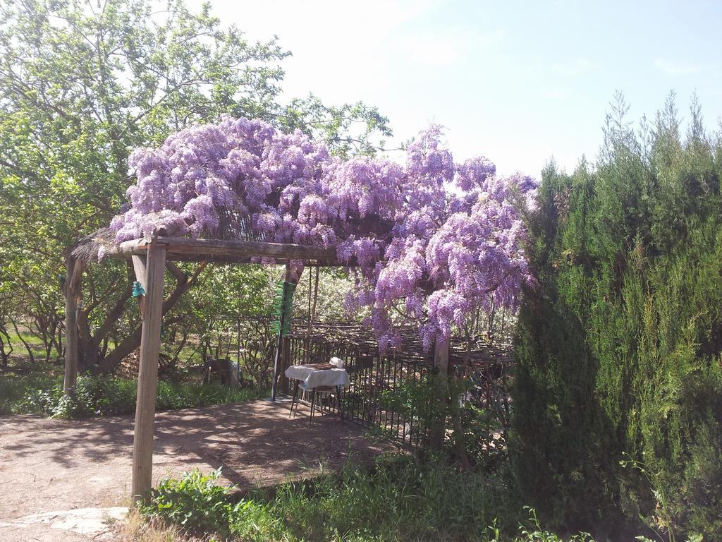 El Molino De Las Palomas *